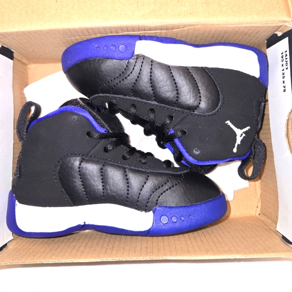 Jordan Jumpman Pro TD 6C Black and Purple Sneakers